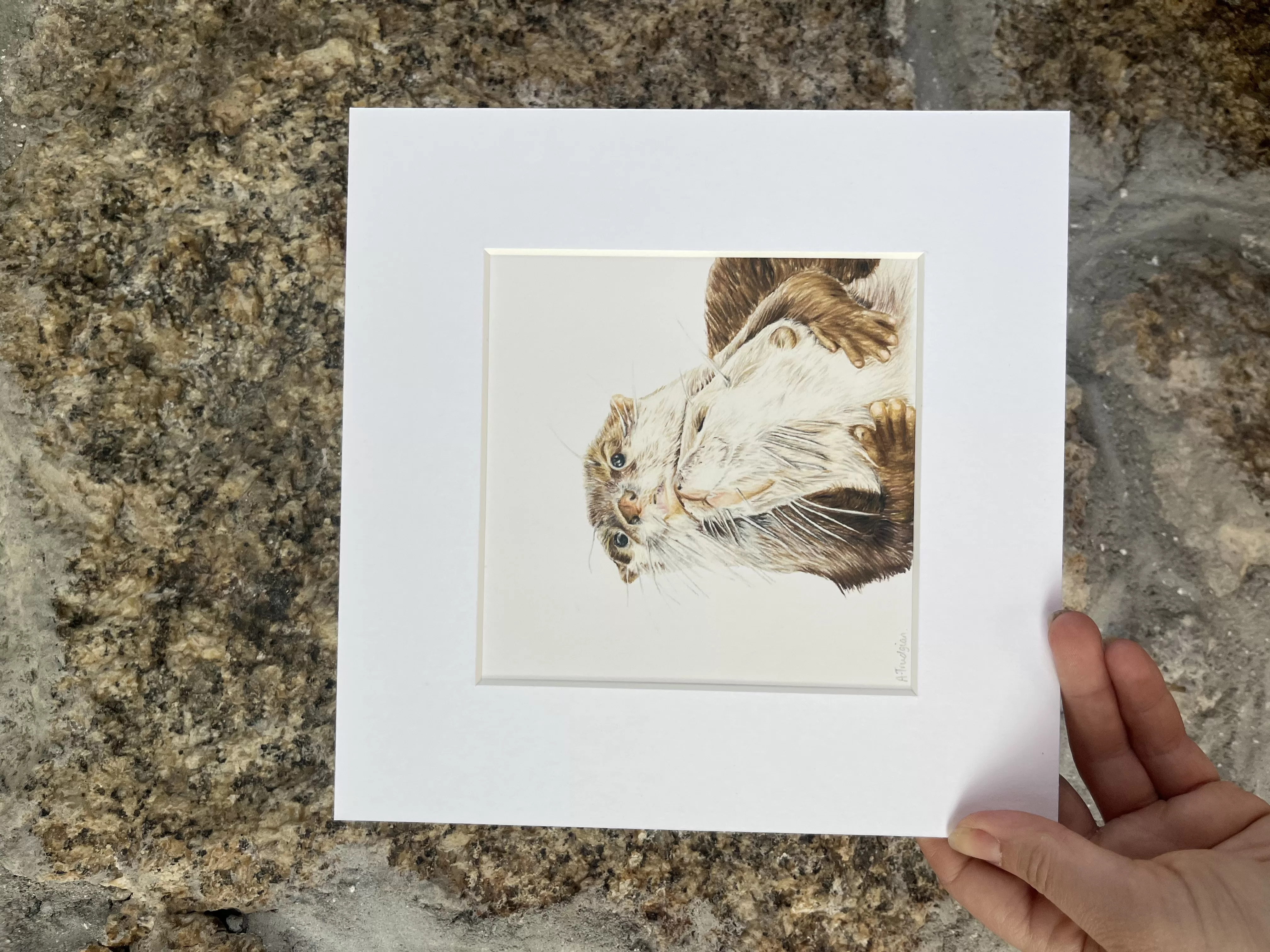 Amy Trudgian Art image 3