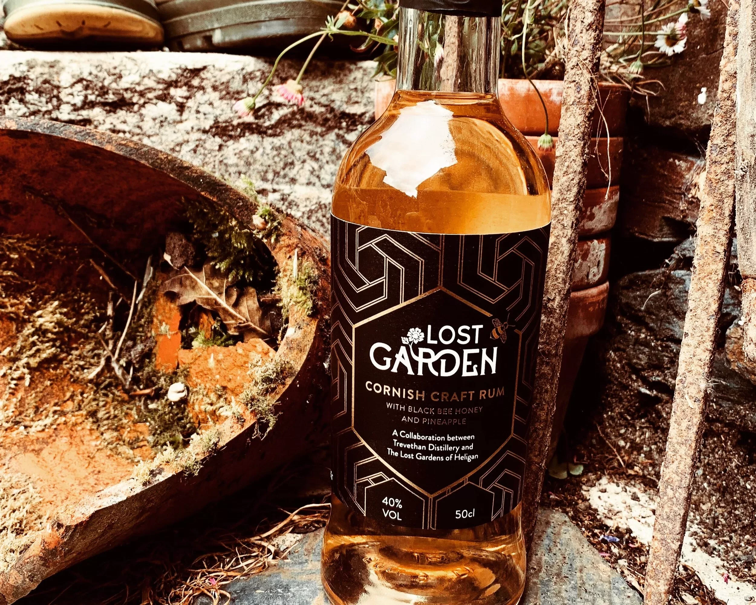 Trvethan Distillery image 2