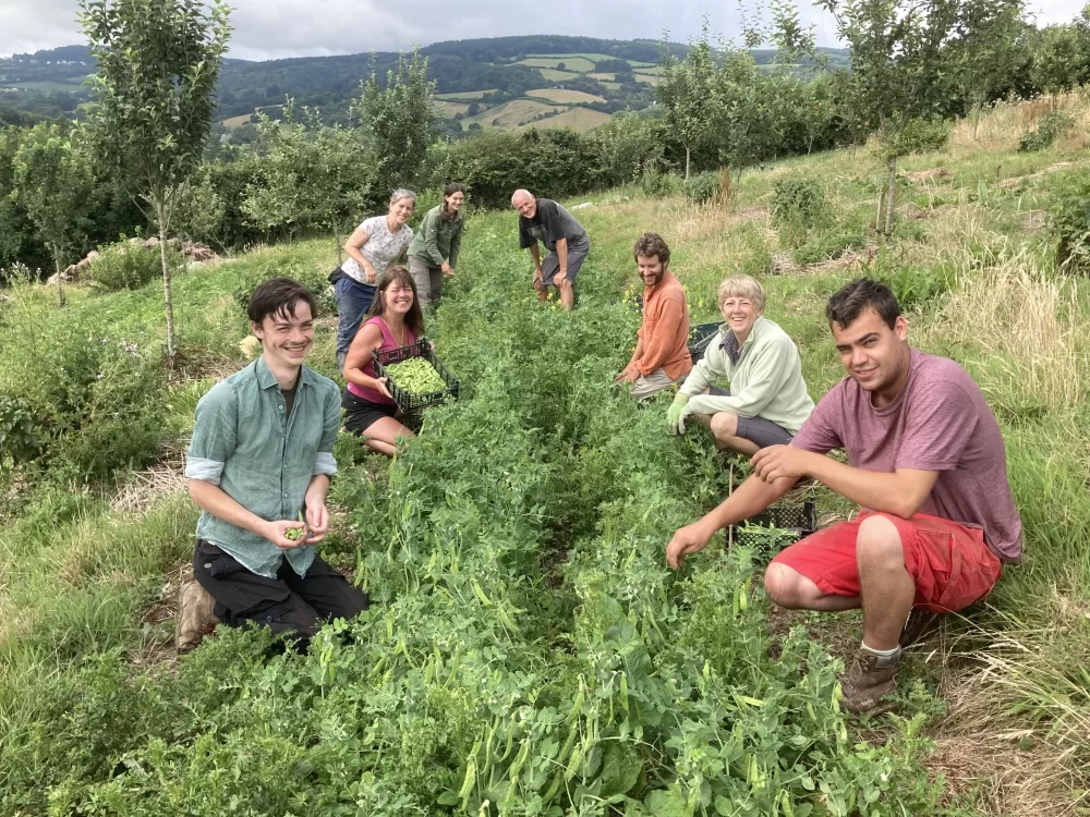 Teign Greens Image