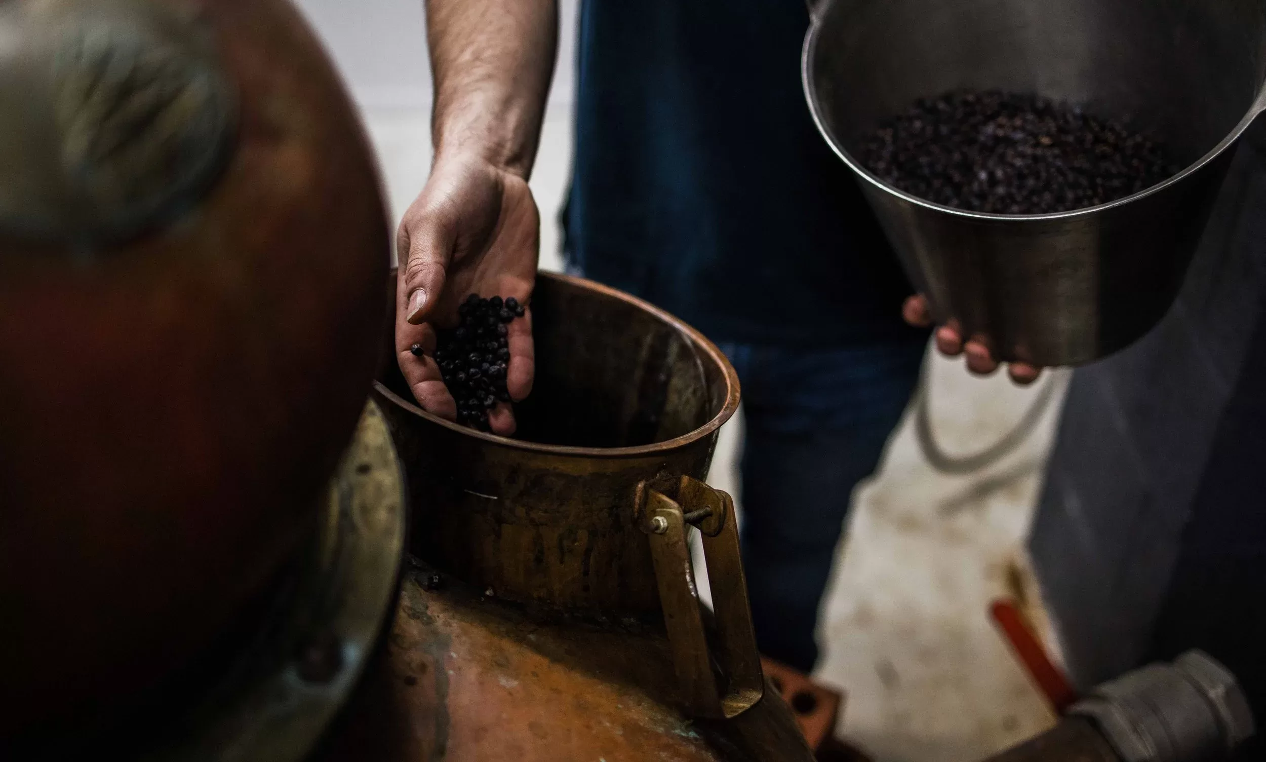 Trvethan Distillery image 3