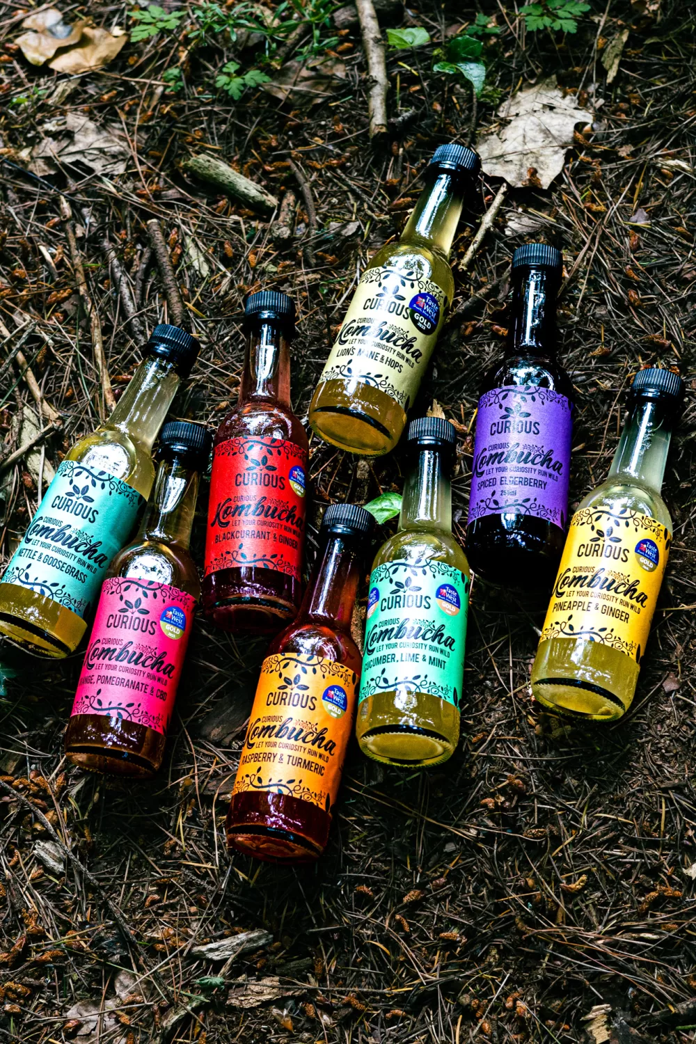 Curious Kombucha Image
