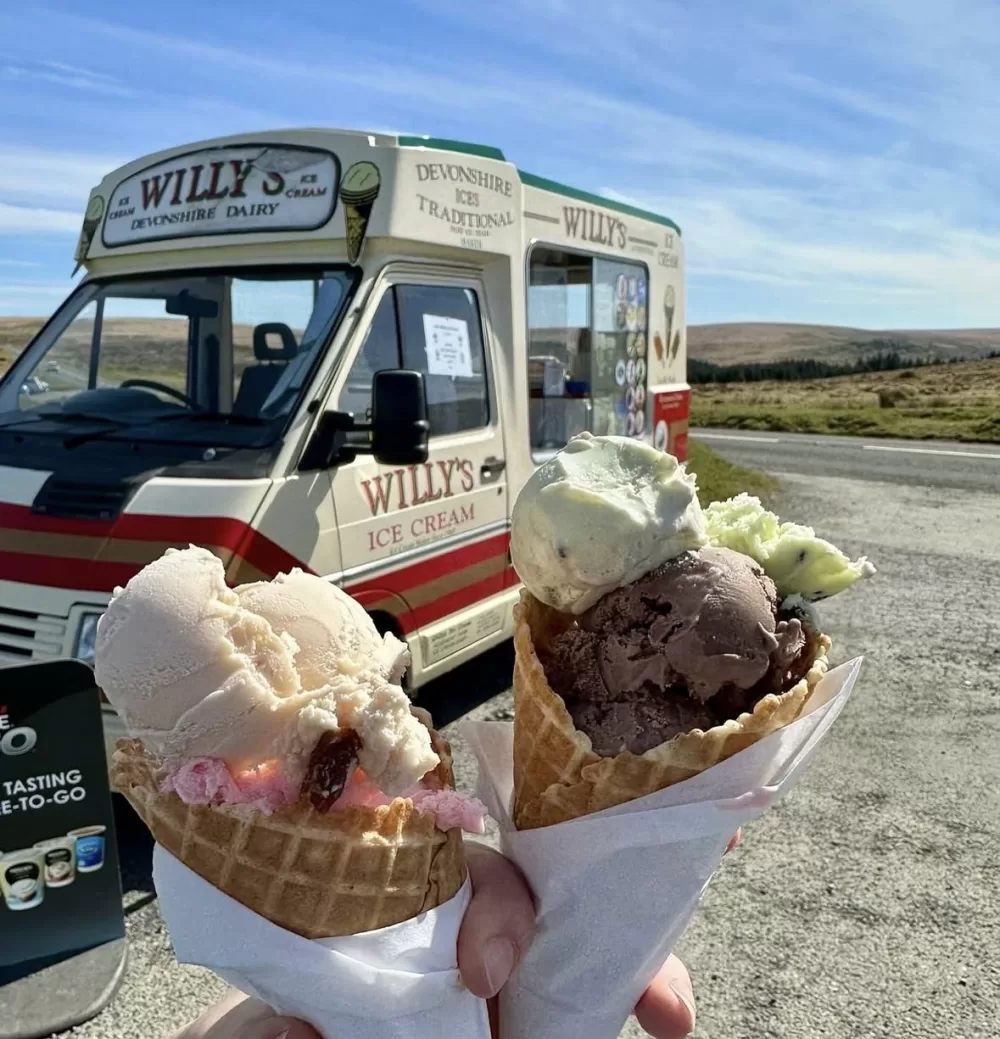 Willys ice cream Image